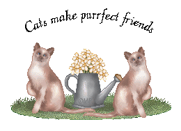 Purrfect Cats