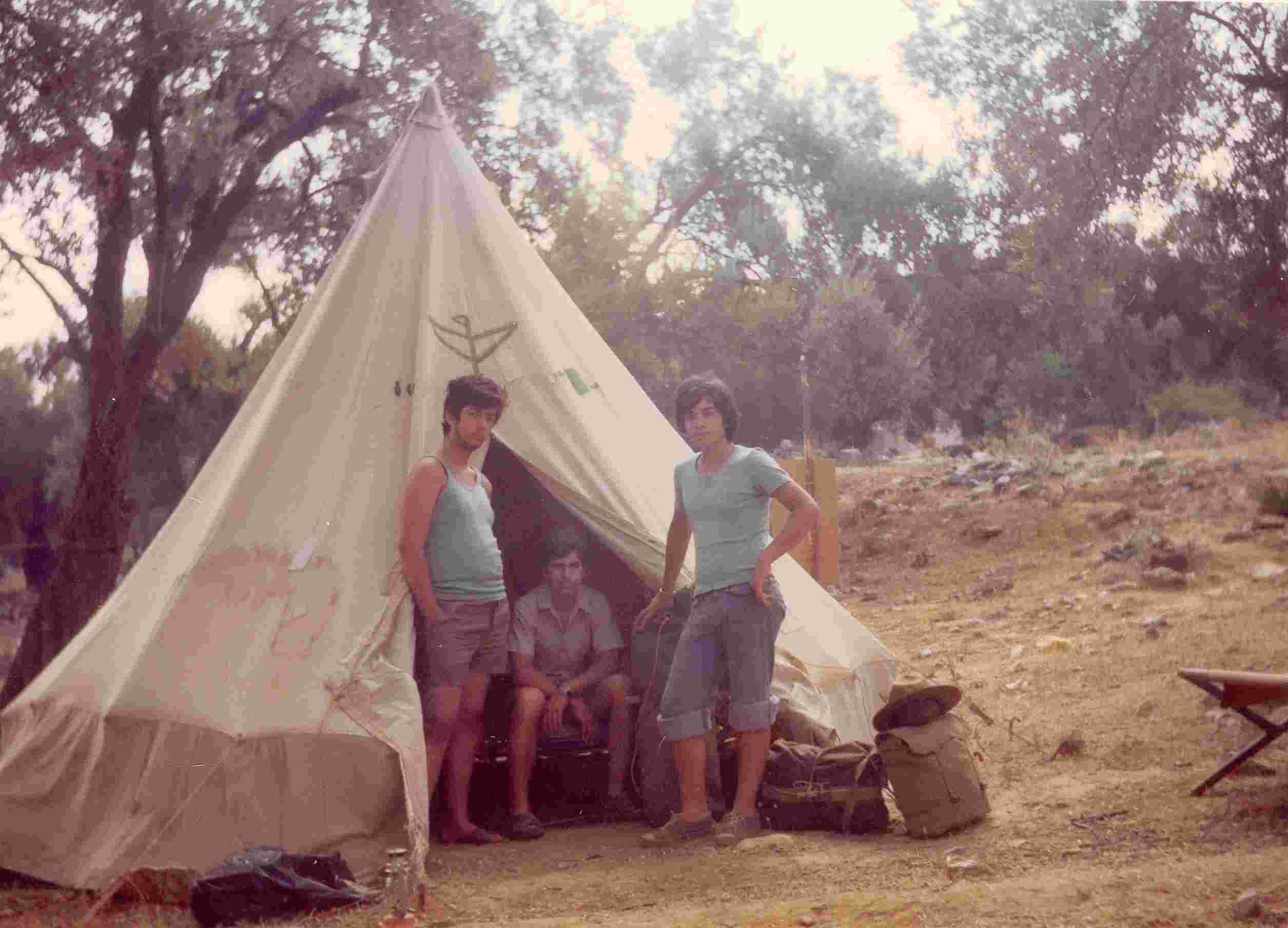slide0002_image011.jpg 118.4K