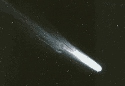 Halley's Comet