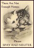 SPAY AND NEUTER PLEASE