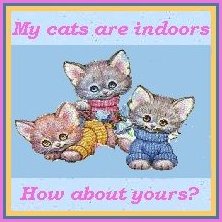 Please keep kitty inside