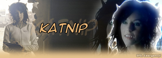 Katnip