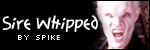 --sire whipped-- (am i ever!)