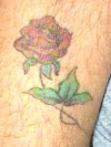 Rose- lower right arm