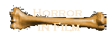 Studies in horror films