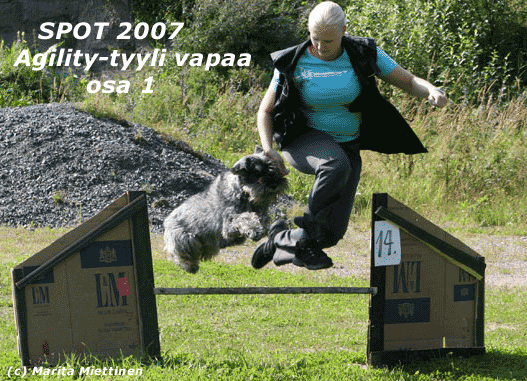 agility_osuus1