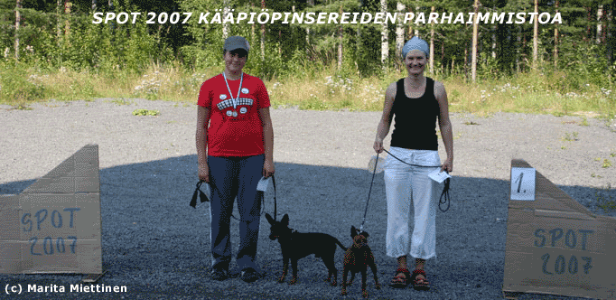 kaapiopinserit