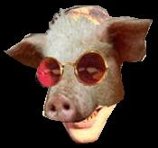 Hey PIGS ARE PEOPLE TOO! And All Little Piggies Need A Free Guestbook! So Click Here Piggy And Get Yours!