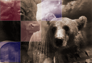 bears