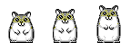 hamster