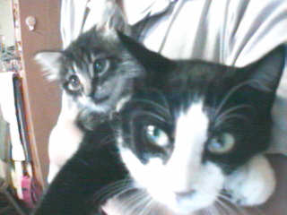 dia and phiz