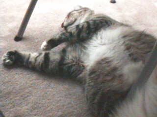loungy karma :)