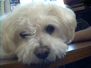 missy