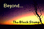 Pandora's Box- Black Stump Site