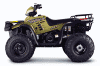 2000sptm500.gif (26647 bytes)