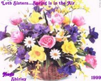 lothspringflowers