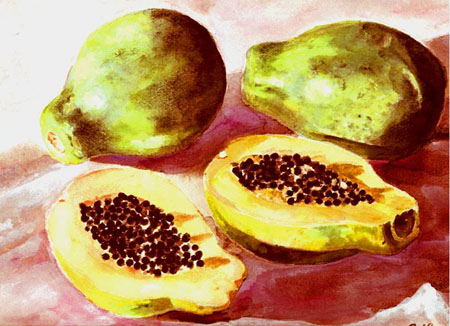 papaya