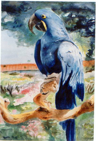 parrot