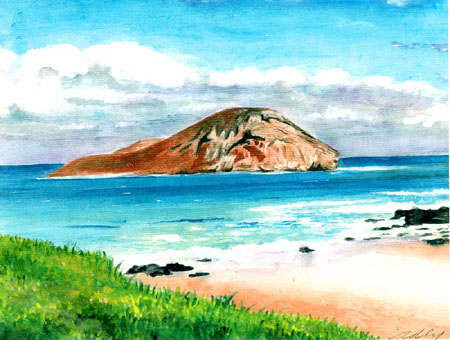 rabbitisland