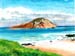 rabbitisland