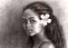 plumeria