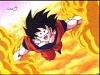 Goku - I'm in Cotten Candy Land!!  Oh joy of all joys!!!