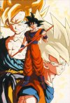 GASP!  I didn't know Goku had two twin brothers!  Mmmm... Triplets....