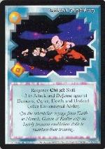 card13