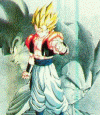8.gif (135433 bytes)