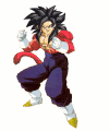 vegettossj4.gif (77504 bytes)