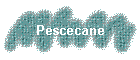 Pescecane