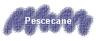 Pescecane