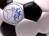 mtfcball.jpg (3917 bytes)