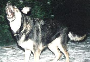 Zita, 18 kb
