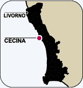 Stampa In - Cecina (Livorno) Toscana