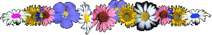 flower divider