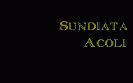 Sundiata Acoli caption