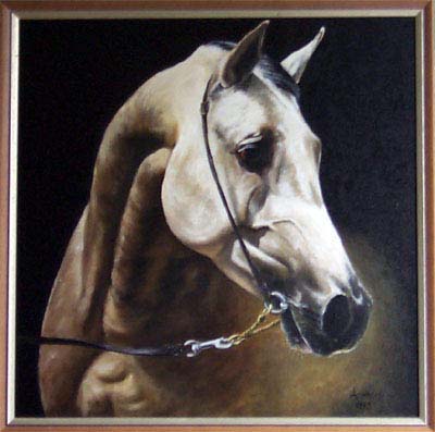 pferd 2