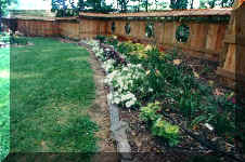 lawn.jpg (33694 bytes)