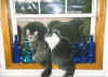 Pinky and Gizmo.jpg (48380 bytes)