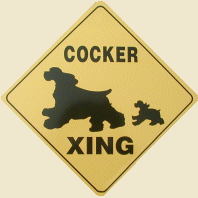 Cocker Xing