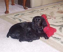 Diva with a toy
