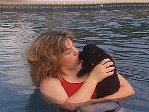 Rose in the swimming pool