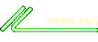 Visible Pain