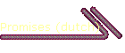 Promises (dutch)