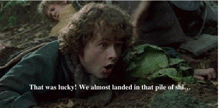 a sentence about your site