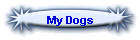 My Dogs