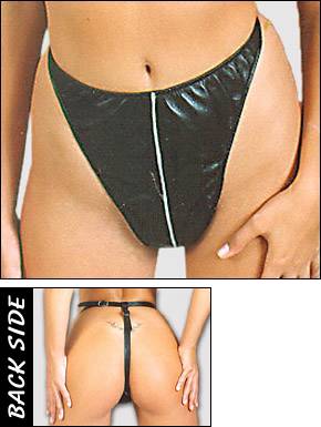 Model 20079