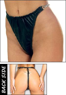 Model 20093