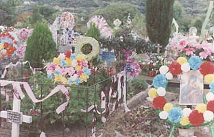 [ Los Dias De Los Muertos Cemetery ]
